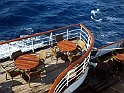Curves of a Thoroughbred Ship 0019